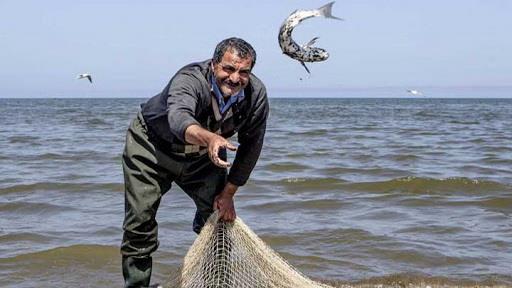 Re-export of Iranian fishery products to EU begins